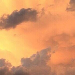 Meet your Posher, Joelle